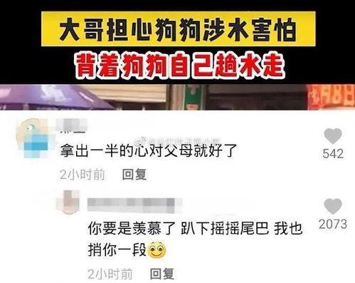 嘿嘿视频国产区在线观看,在线观看盛宴