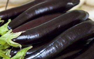 国产精品 茄子视频