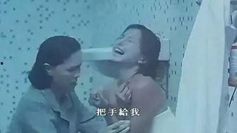 女同视频免费国产,探索多元情感世界的免费窗口