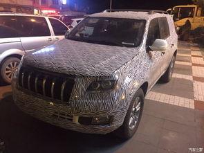 路上偶遇国产越野车视频,惊艳路人眼球