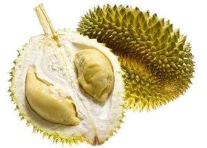 你见过吗国产榴莲视频,带你领略热带果王的风采